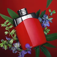 Montblanc Legend Red