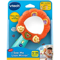 I See Me Lion Mirror