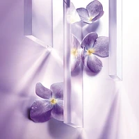 Rénergie Lift Multi-Action Anti-Aging Night Cream