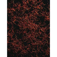 Polo Red Eau de Toilette