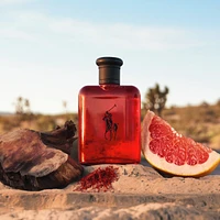 Polo Red Eau de Toilette