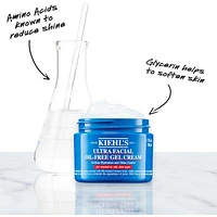 Ultra Facial Oil-Free Gel Cream Refill Pouch