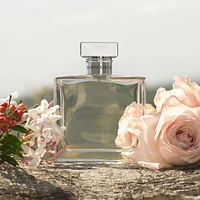 Romance Eau de Parfum Valentine's Day Set