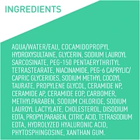 Gentle Foaming Facial Cleanser For Oily Skin