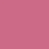 Rimmel London - Provocalips 16HR Kissproof Lip Color