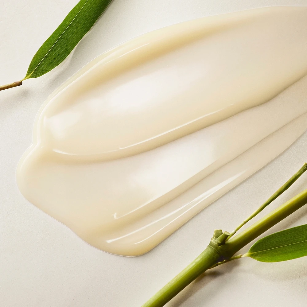 purity made simple oil-free mattifying moisturizer with vitamins and bamboo extract