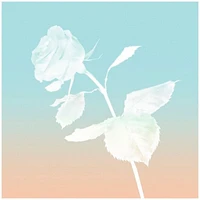 Rose Gold Eau de Parfum for Her