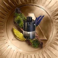 Azzaro The Most Wanted Eau de Toilette Intense