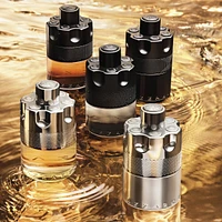 Azzaro The Most Wanted Eau de Toilette Intense