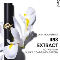 Lash Clash Mascara & Libre Eau de Parfum Gift Set