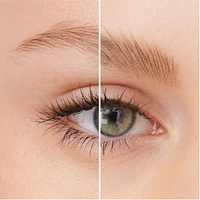 Wonder'Last Brow