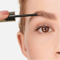 Wonder'Last Brow