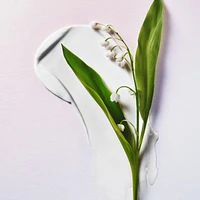 amazing grace bergamot firming body emulsion