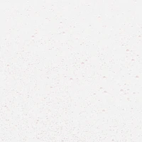 Clean Fresh Skincare Priming Glow Mist™, With Cactus Water, Rose Water and Vitamin C for 8HR Hydration, 100% Vegan & Cruelty-Free