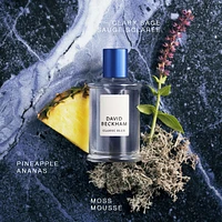 Classic Blue Eau de Toilette For Him - Men's Fragrance, David Beckham Fragrance, Citrusy, Woody Scent