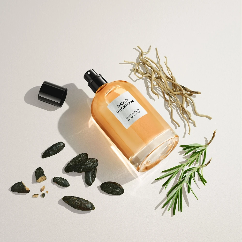 Amber Breeze Eau de Parfum for Men, Fresh and Aromatic, Long Lasting Fragrance