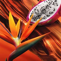 Bali Paradise Eau De Toilette for Women