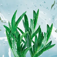 Moisturizing SOS Mask