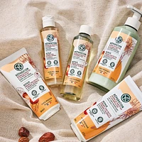 Nourishing Body Lotion - Large Format