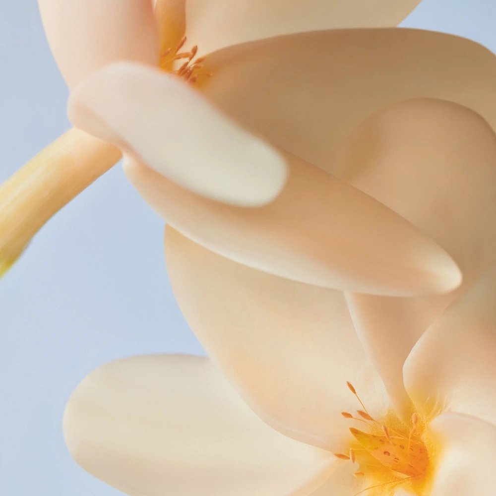 Moisturizing Dry Oil Mono