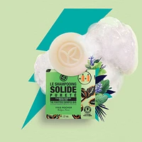 Purifying Shampoo Bar
