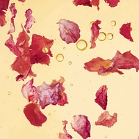 Rose Oleo Infusion