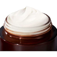 Intense Regenerating Care