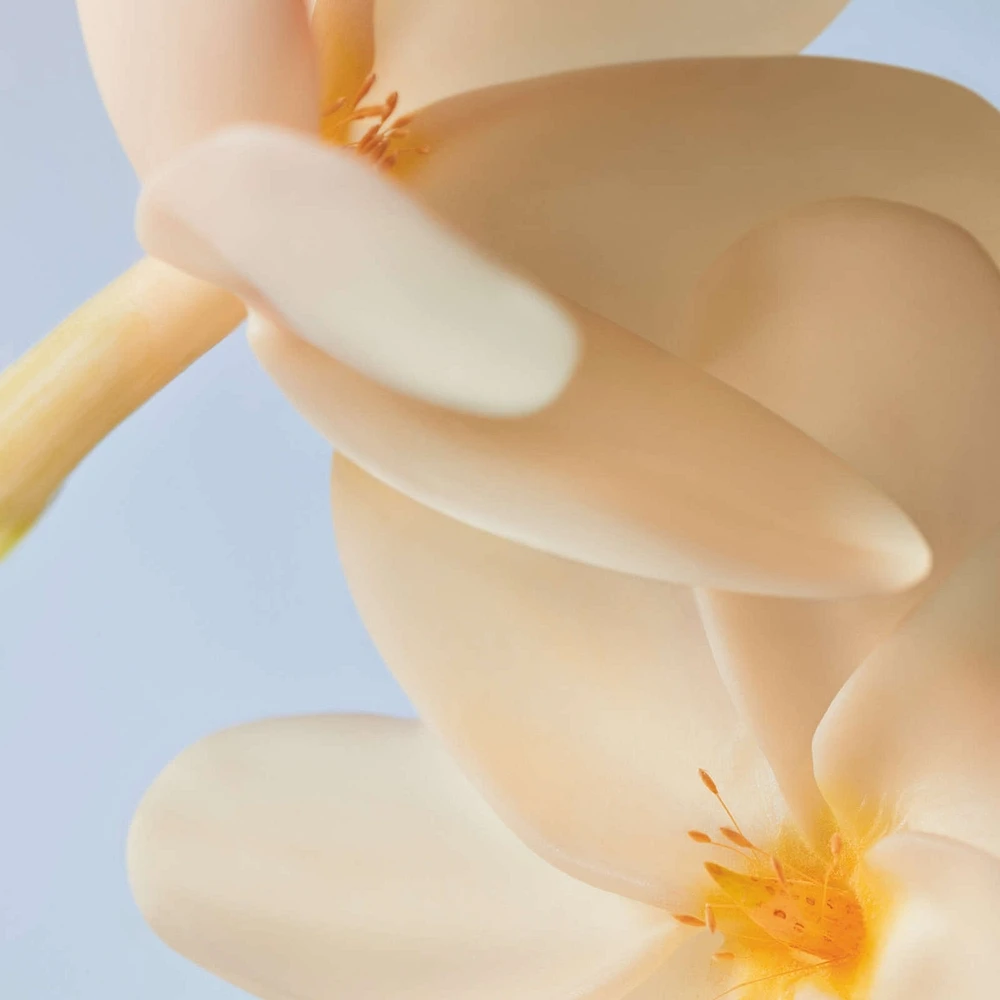 Hand Cream Monoï