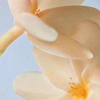 Hand Cream Monoï