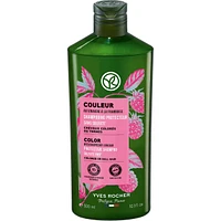 Shampooing Protecteur - Couleur