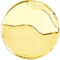 The Bi-Phased Night Recovery Concentrate Serum
