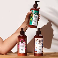 Coconut Escape Body Lotion