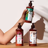 Argan & Rose Petals Hammam Body Lotion