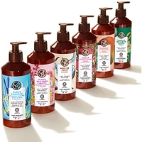 Olive & Petitgrain Relaxing Body Lotion