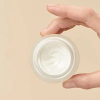 Anti-Aging Comfort Night Cream