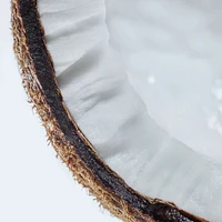 Coconut Perfumed Mist Hair & Body