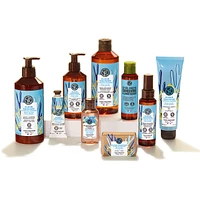 Wild Algae & Sea Fennel Energizing Bath & Shower Gel