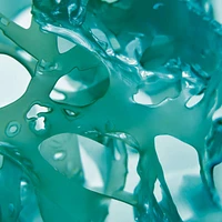 Wild Algae & Sea Fennel Energizing Body Lotion