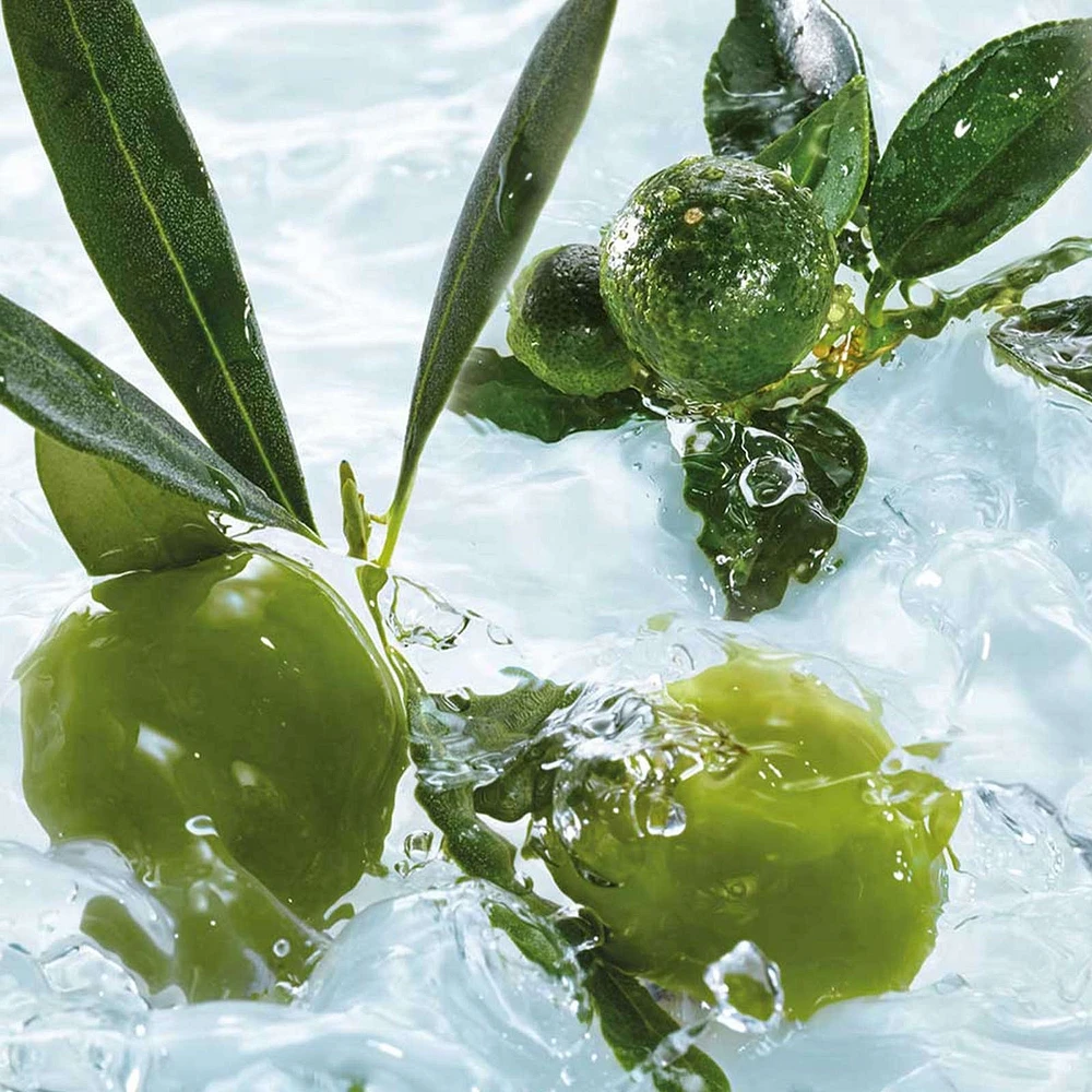 Olive & Petitgrain Relaxing Bath & Shower Gel