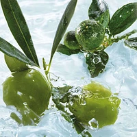 Olive & Petitgrain Relaxing Bath & Shower Gel