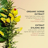 Super Restorative Night Cream - Very Dry Skin