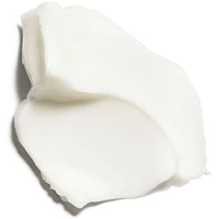 Multi-Active Night Face Cream