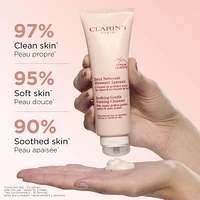 Soothing Gentle Foaming Cleanser