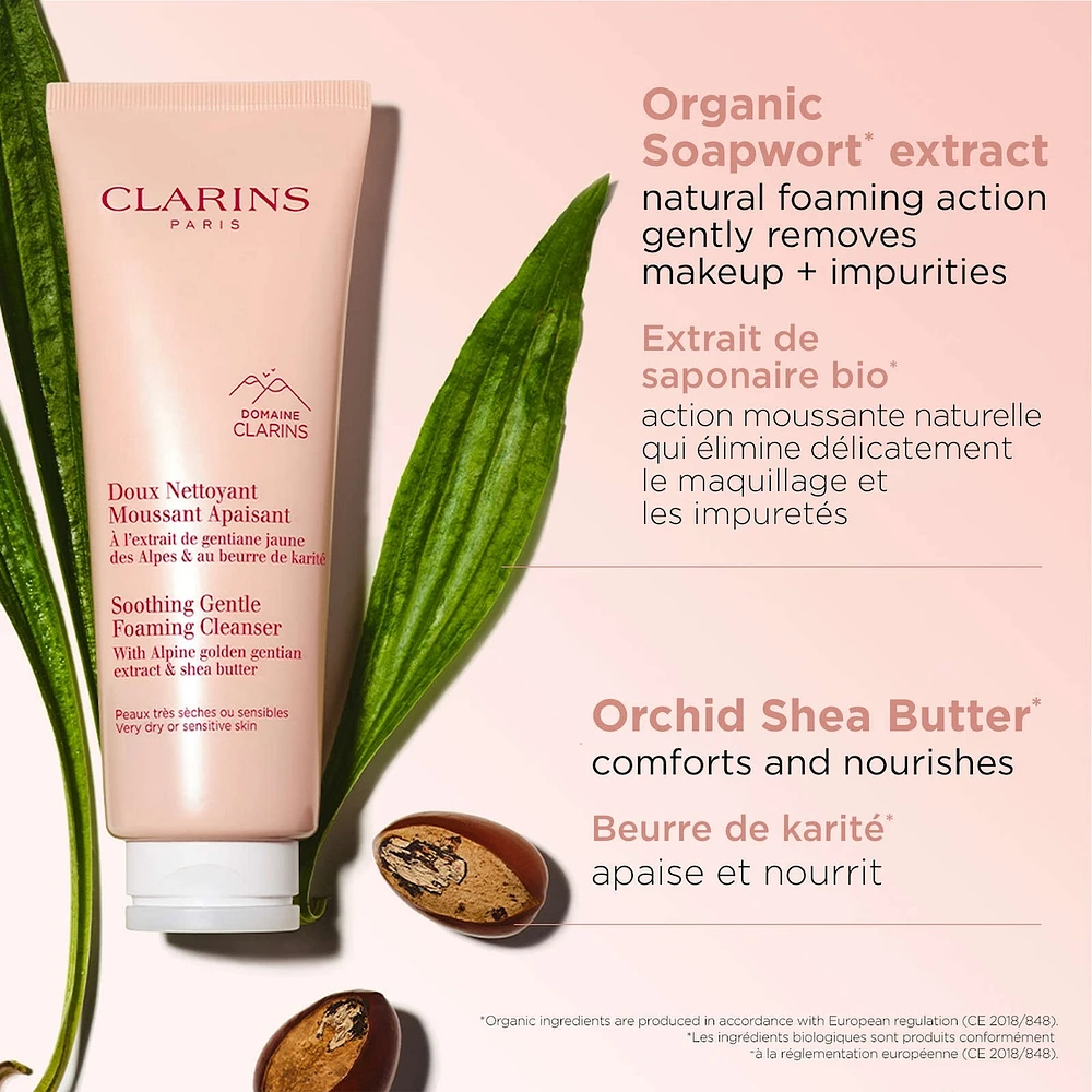 Soothing Gentle Foaming Cleanser
