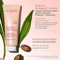 Soothing Gentle Foaming Cleanser