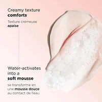 Soothing Gentle Foaming Cleanser