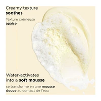 Hydrating Gentle Foaming Cleanser