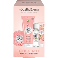 FLEUR DE FIGUIER Set