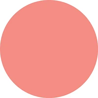 Pure Nude Baked Blush