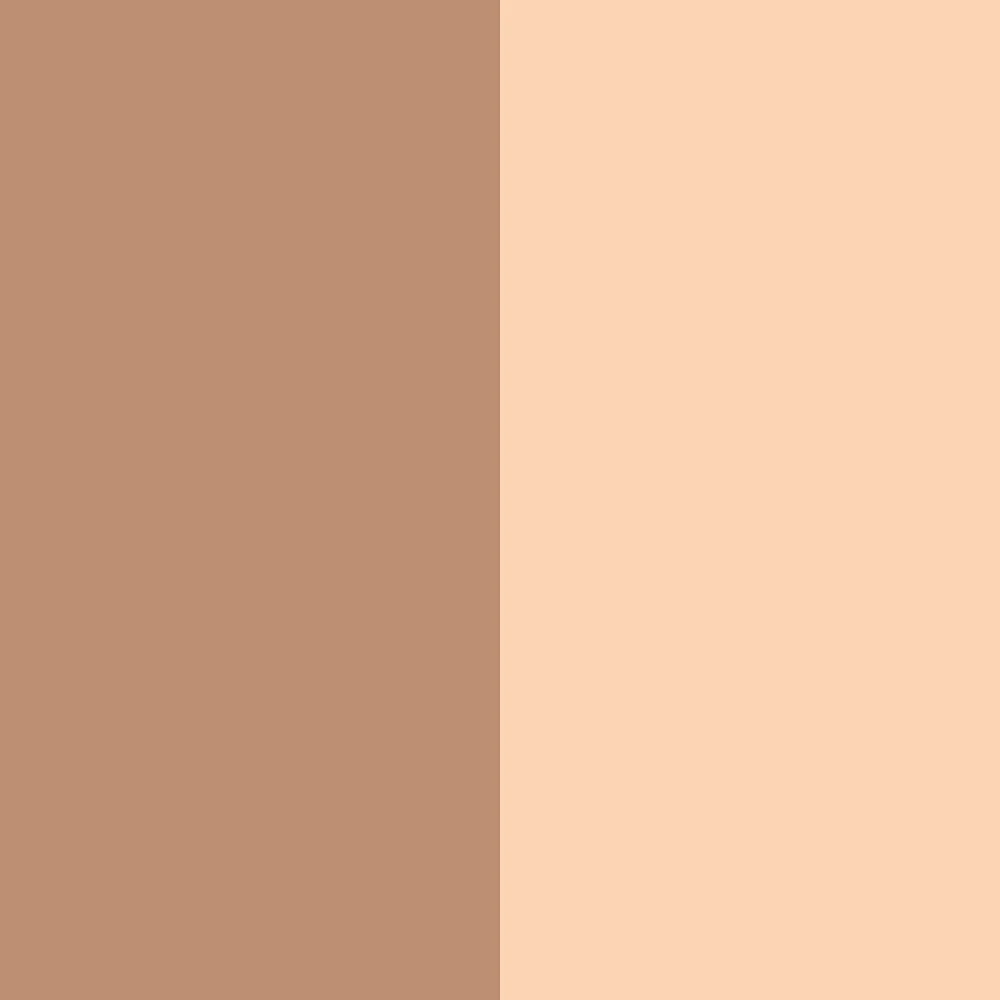 CONTOURING duo stick